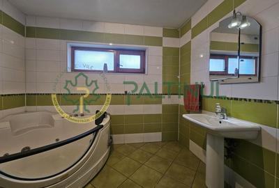 De inchiriat in Selimbar, Sibiu imobil pretabil sediu firma - 18
