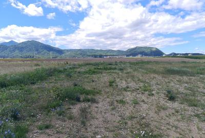 Teren industrial cu PUZ de vânzare in Brașov - 1