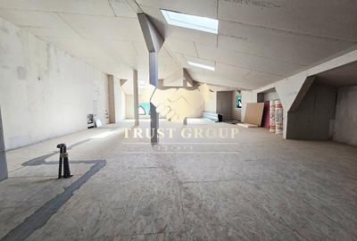 Casa Individuală  Grădină Icoanei - 253mp curte libera - 18