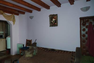 Proprietate de vacanta Valea Oltului - BREZOI - 9