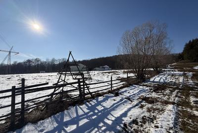 Teren intravilan 4521mp lângă pădure-valea Doftanei -Calea Brasovului - 9