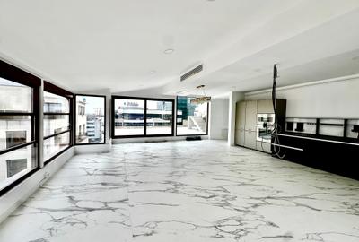 Penthouse cu 4 dormitoare si rooftop 200mp-Aviatiei-Pipera - 6