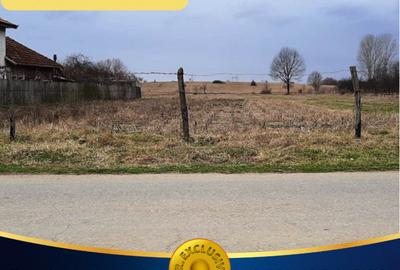 TEREN INTRAVILAN SI EXTRAVILAN POLOVRAGI - BENGEASCA - 1