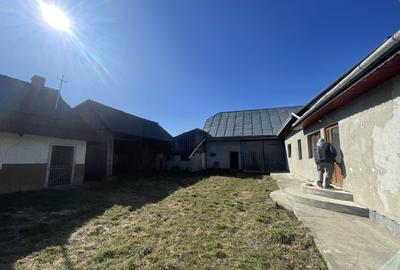 CASA RENOVATA + TEREN 3100 MP | CURTE SI GRADINA | FRATAUTII NOI - 18