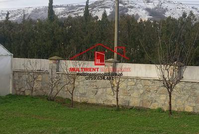 De vanzare casa deosebita situata in Niculitel! - 13