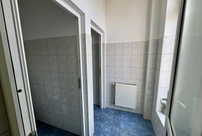 Clădire SAD de închiriat, situată la intrarea în Dumbrăvița - 36