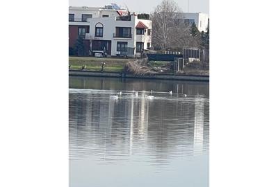 REL4001195 Teren exceptional - Fabrica de Caramida - deschidere lacul Grivita - 4