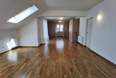 Vilă in zona Iancu Nicolae - 19