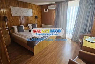 Vanzare Pensiune Solinia+Restaurant+piscina+debarcader-Dunavatu de Jos - 14