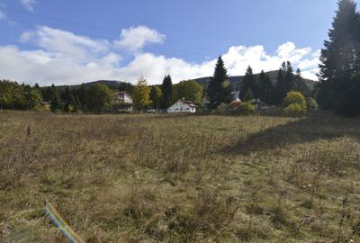 TEREN PENTRU DEZVOLTARE SINAIA-CUMPATU Str. Zamora-9.801 mp-Comision 0% - 24