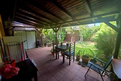 Duplex pe parter Tamasi padure - 15