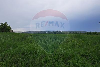 Teren Ciolpani 15.000 mp oportunitate posibilitate lotizare 5000 mp - 8