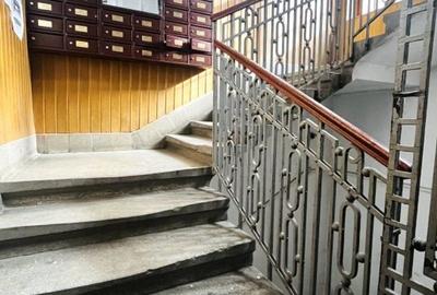 Apartament 2 camere, stil boem, chirie inclusă, cu vedere la Operă - 19