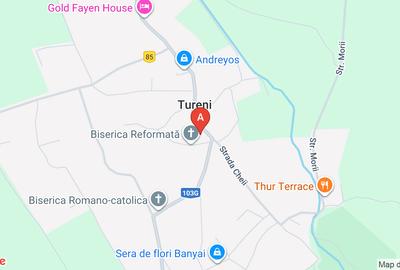 Teren intravilan de 7600 mp, în Tureni