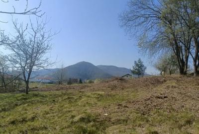 Teren cu vedere superbă in natură - 5