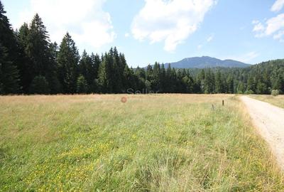 Poiana lui Manole - teren Intravilan - 13