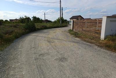 Loturi Teren Intravilan Str Delfinului -Comuna Berceni -gaz si curent - 5
