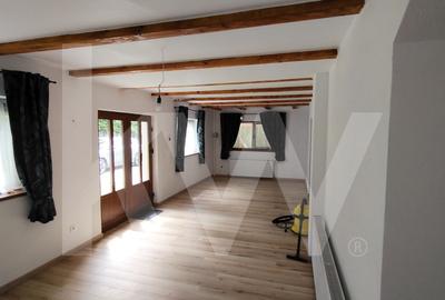 Vila de poveste din Valea Avrigului de vanzare - 1