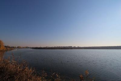 Teren dezvoltare 4763 pe malul Lacului Mogosoaia deschidere 40 metri - 1