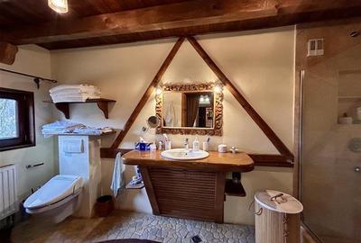 Raritate| Proprietate de vis pe 6 ha intravilan  de vanzare in Pestera Brasov - 6