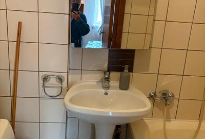 Ultracentral De inchiriat apartament 2 camere in vila pe Blv Schitu Magureanu - 7