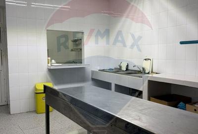 Casă / Vilă cu 8 camere de vânzare în zona Central - 4