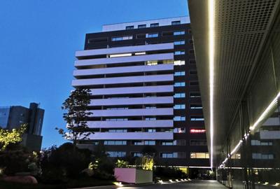 Apartament spectaculos de 7 camere in Herastrau - 13