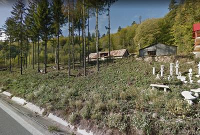 Proprietar, vand teren Busteni Poiana Tapului Prahova 3.450 mp - 4