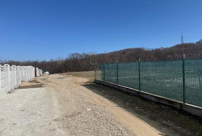 Teren Mioveni ,strada Egalitatii -ideal constructii case - 4