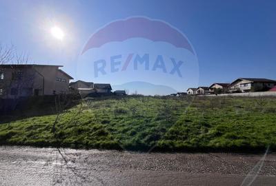 Teren Construcții intravilan de 314 mp, în Berceni