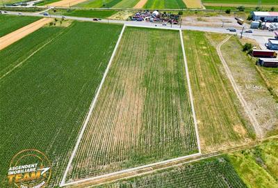 8.400mp, la DN12, cu Certificat Urbanism, teren intravilan, Chichis, Covasna. - 4