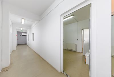 Hala depozitare, Dumbravița Timis, 1285 mp, Farma GDP Medical Cosmetice 6000 Eur - 24