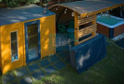 Casa de vacanta superba in Crivaia - 18