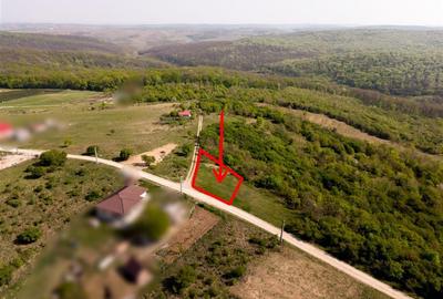 RECO Teren intravilan, dublu front, Saldabagiu de Munte - 5
