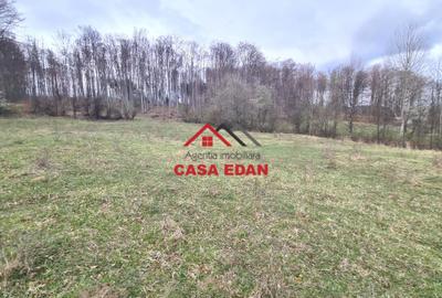 Teren extravilan Valea Doftanei 20.500 mp 6e mp - 8