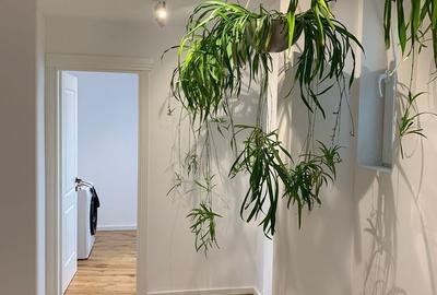 De vanzare Apartament tip Penthouse 4 camere, cismigiu, ultracentral - 10
