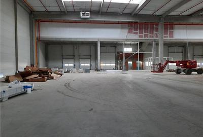 Spatiu Industrial - 1200 mp - Logistica - Productie - Depozitare - Distributie - 14