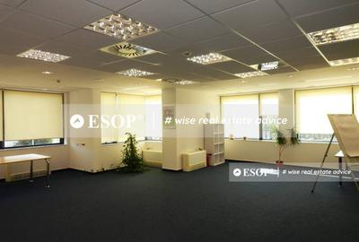 Business center de vanzare,  zona Nord, Baneasa, ID 12061.99 - 8
