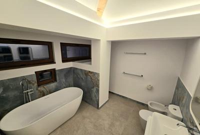 Amazing villa Corbeanca for rent fully furnished and equipped - 13