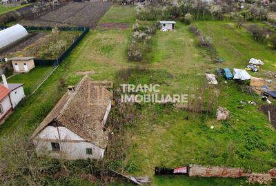 Teren intravilan 3.593 mp de vânzare în Parța - 5