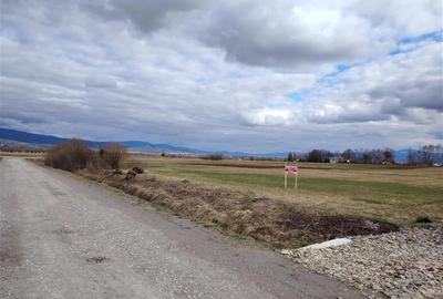 Teren Construcții intravilan de 2810 mp, în Sineu