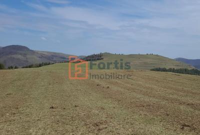 Teren zona de interes turistic 12 000 mp - 5