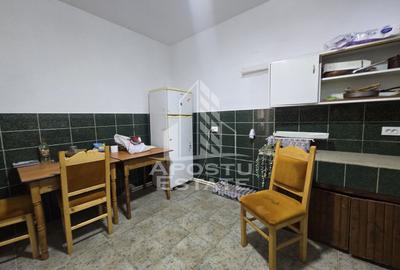 Casa de vanzare, potential pensiune, pe malul Timisului,Sag,comision 0 - 16