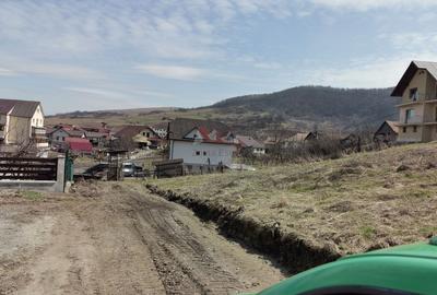 Teren intravilan , cu proiect pentru casa in Dej - 13