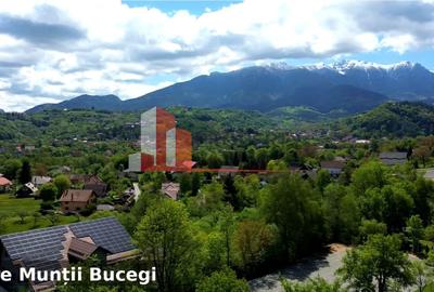 Teren intravilan 2.600 mp Predeluț Bran | Vedere Bucegi și Castelul Bran | Utili - 8