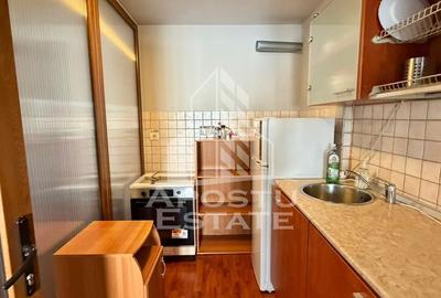 Apartament 4 camere, de inchiriat, Central,Piata Unirii, Timisoara - 13