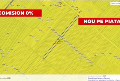 Teren agricol 12.500 mp | Deschidere directă DN61 | Dublu acces | Corbii Mari - 1