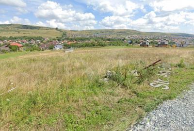 Teren Construcții intravilan de 904 mp, în Chinteni - 1