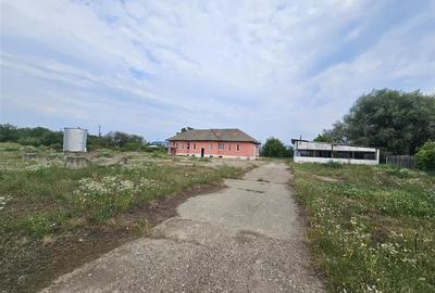 Teren Construcții intravilan de 10000 mp, în Periferie