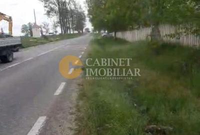🌳 Teren Intravilan iesire Vorovești - 500 mp - 20.000 Euro 🏡 - 4